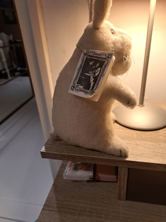 Image 1 of Rabbit Susan Tantlinger