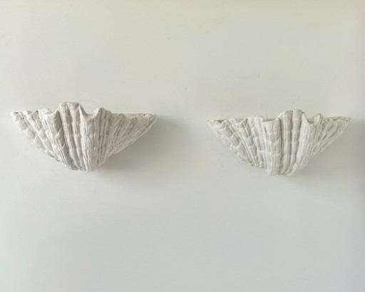 Paar XL Vintage Schelpen Gips Wandlampen, Frankrijk 1940, Toegeschreven aan Serge Roche – Ceramic (photo 2 of 5)