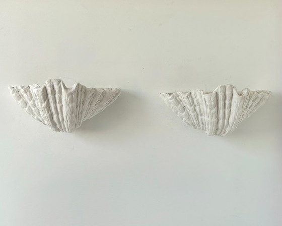 Paar XL Vintage Schelpen Gips Wandlampen, Frankrijk 1940, Toegeschreven aan Serge Roche – Ceramic (photo 2 of 5)