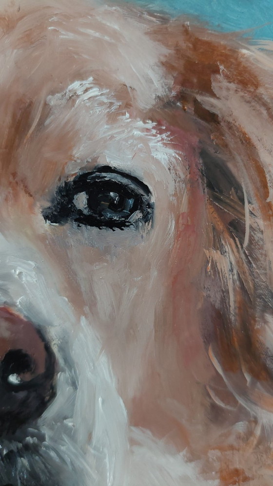 Image 1 of Golden Retriever