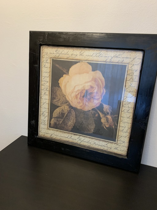 Tableau avec une photo de Sid Dickens dans un cadre en bois noir