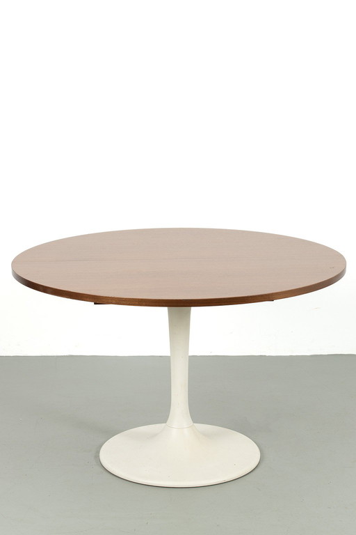 Tulpvoet tafel