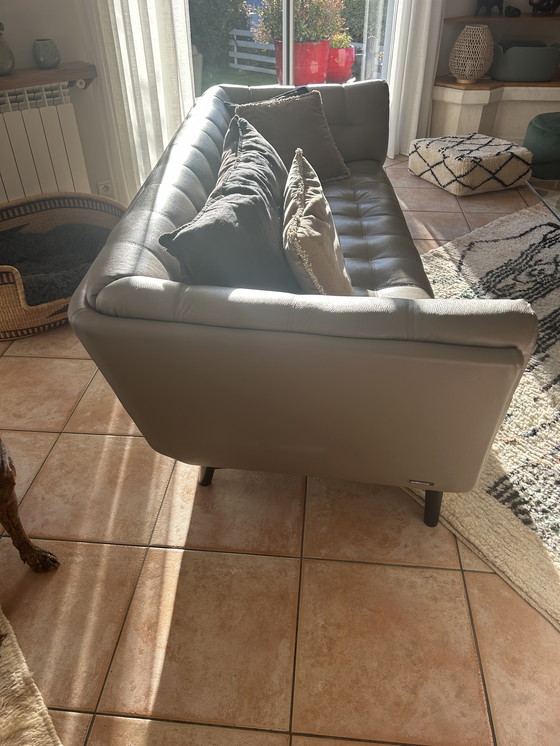 Image 1 of Divano in pelle Roche Bobois