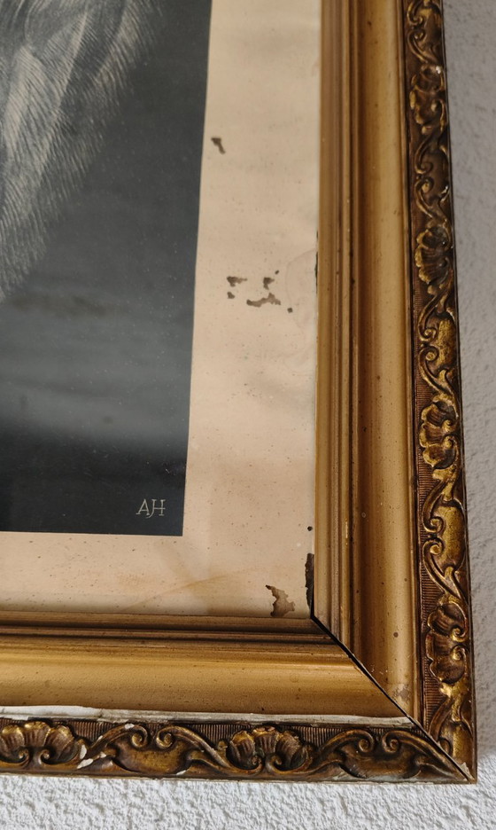 Image 1 of Adriaan Johannes van 't Hoff - Oiseau de paradis sur une branche - Lithographie