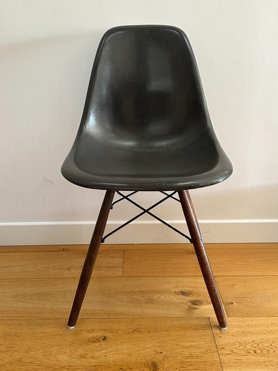 Set di 6 sedie Eames DSW — Herman Miller, scocche originali 1956–1959 – Sedie da pranzo (photo 6 of 10)