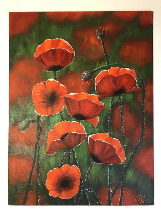 Image 1 of Pintura al óleo - Irina Gauss - Amapolas en verano