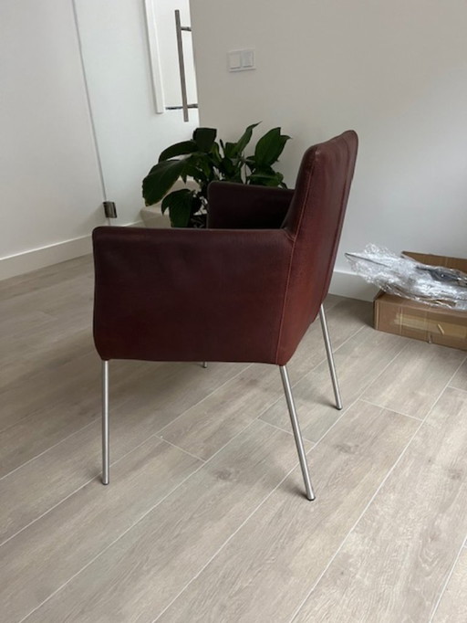 4 x Label Leder-Esszimmerstühle Tiba