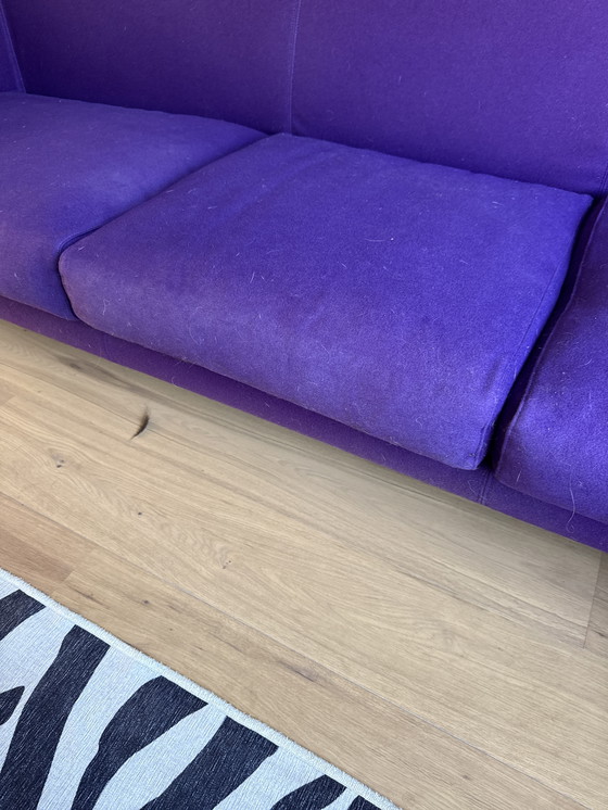 Image 1 of Paarse Capellini 3-zits bank