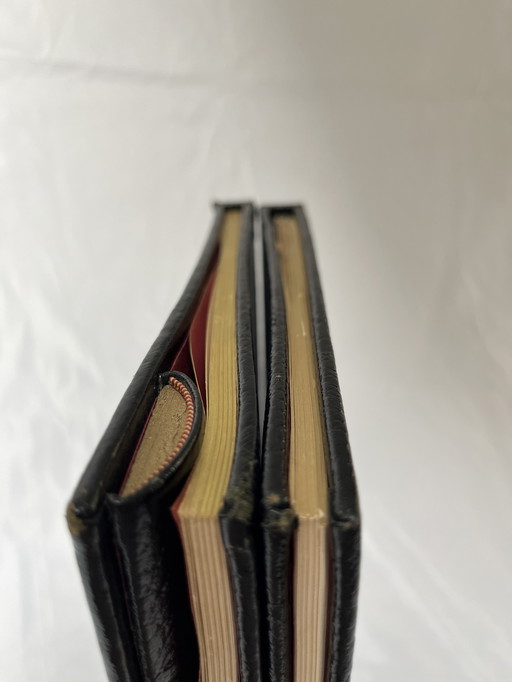 Set of 2 illustrated Dubout books