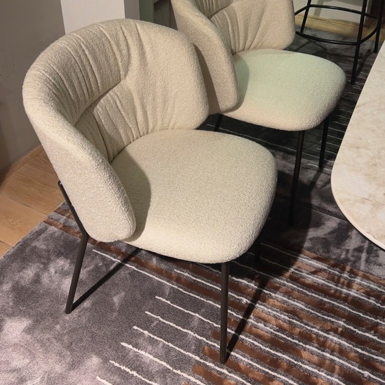 Image 1 of Silla de comedor Calligaris Sweel