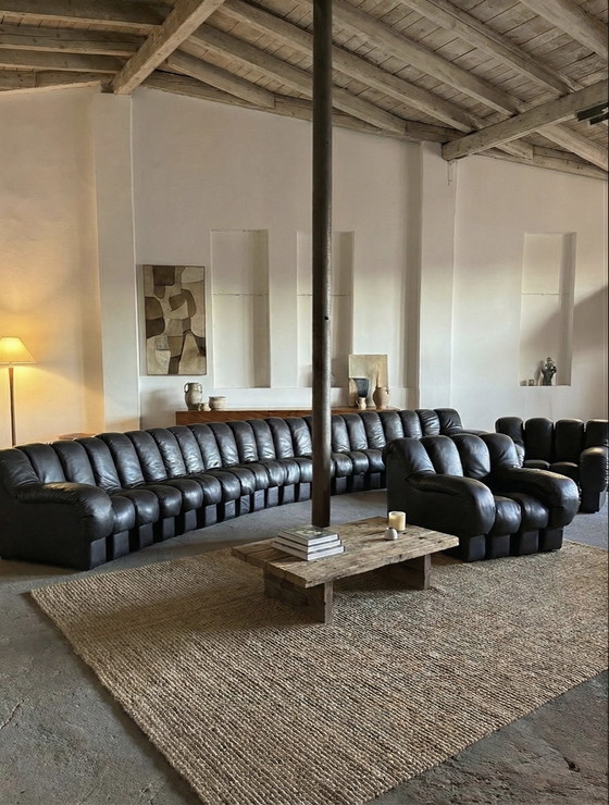 Image 1 of Divano modulare De Sede DS-600 “Tatzelwurm” / “Snake” in pelle marrone scuro “Cigarro” 30 elementi