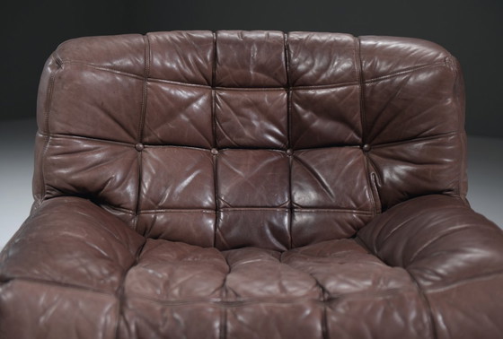 Image 1 of Atemberaubender, patinierter Kashima Lounge Chair (1982) von Michel Ducaroy - Ligne Roset