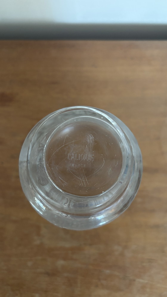 Image 1 of Rene Lalique Deauville vase