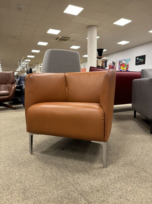 Rolf Benz 392 Fauteuil bruin leer