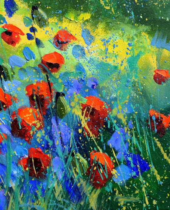 Image 1 of Red Poppies
