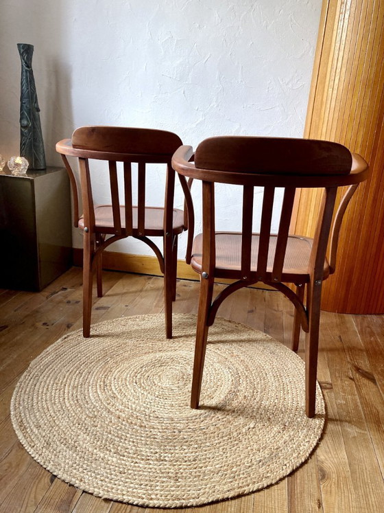 Image 1 of Coppia di sedie Stella vintage in legno, anni '50