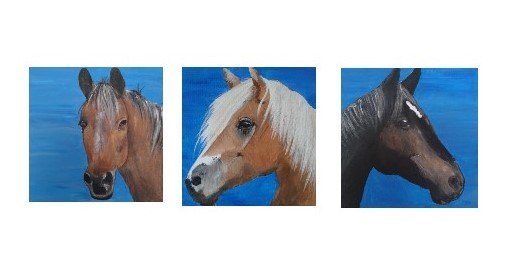 Image 1 of Pferdebilder 3 Stück