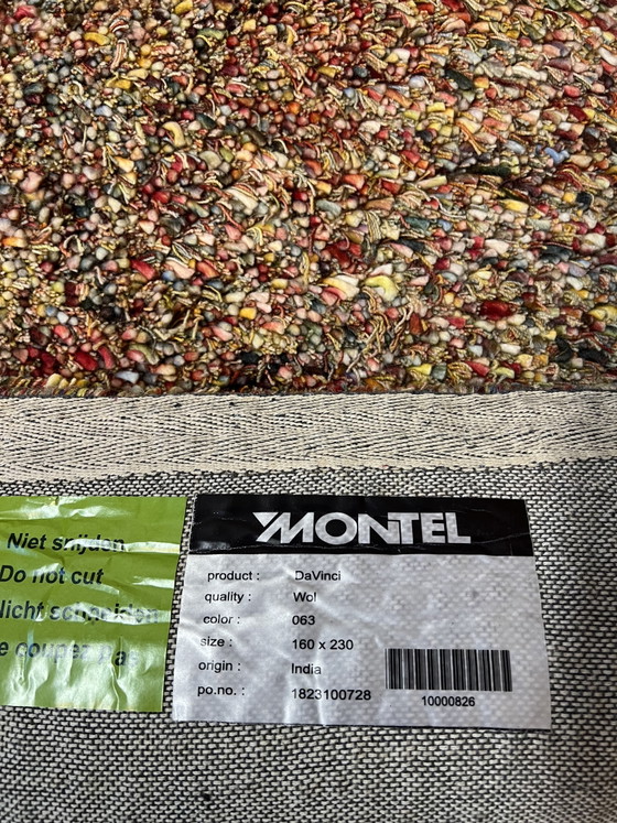 Image 1 of Tapis Da Vinci Salsa Montel 160x230cm