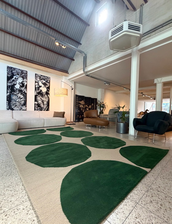 Brink en Campman Tappeto Isot Kivet Green NUOVO – Brink & Campman, Tappeti, Lana (photo 3 of 12)