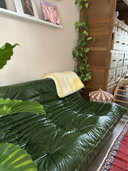 Ligne Roset Togo grünes Leder