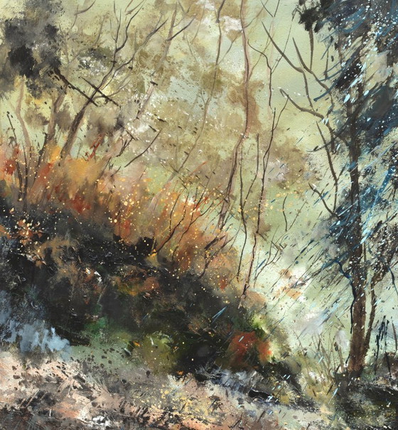 Image 1 of Winter light in the wood