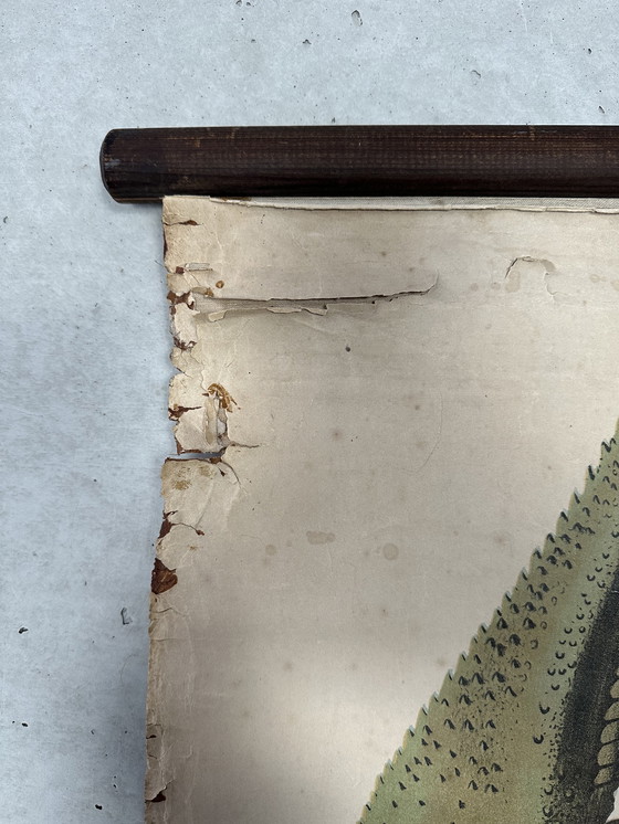 Image 1 of Carte scolaire vintage en lin XL - le homard