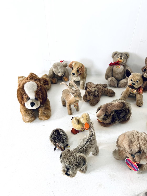 Image 1 of 19x Steiff Soft toy Vintage