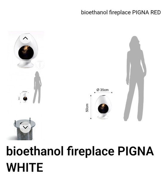 Image 1 of Tomasucci Pigna bioethanol fireplace