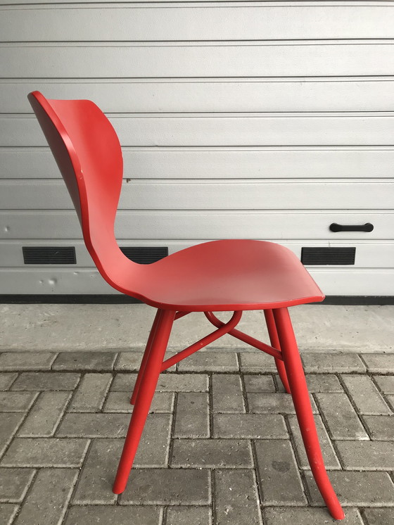 Image 1 of 4x Linteloo Tulipani design dining chairs