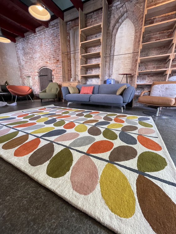 Image 1 of Brink and Campman Orla Kiely Classic Multi Stem