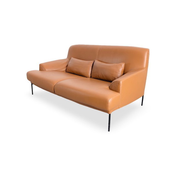 Image 1 of Tacchini Montevideo Tweezitsbank, designbank, bruin leer