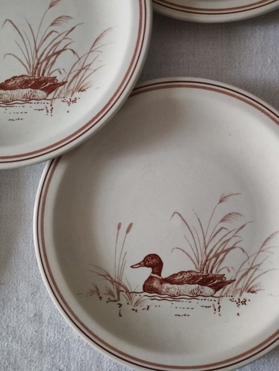 5 kleine vintage aardewerken bordjes en mokken met CHURCHILL eendjes. – Servies, Ceramic (photo 12 of 17)