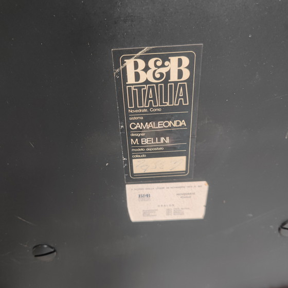 Image 1 of B&B Italia Camaleonda in Bordeaux Red