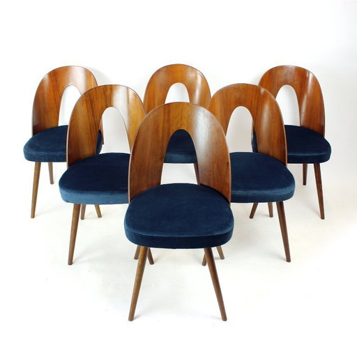 Set Of 6 Iconic Tatra Chairs In Walnut & Velvet By šuman, Nabytok Pravenec 1960s