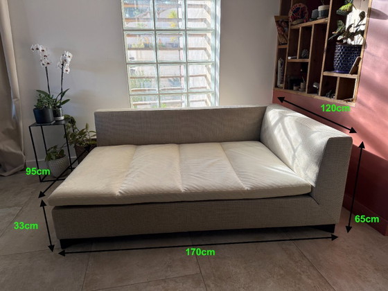 Image 1 of Roset Line Meridian FENG