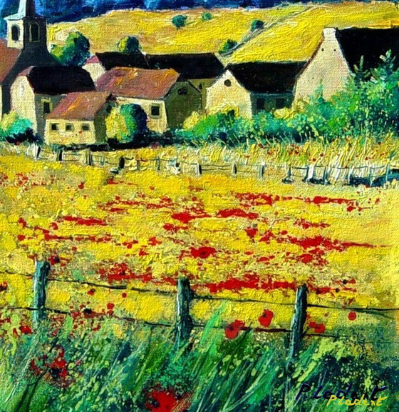 Image 1 of red poppies in my countryside 
