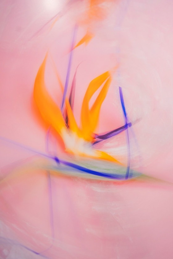 Image 1 of Paradiseflow Kunstwerk von Lieke Marleen van Kalken lilxlylilxly