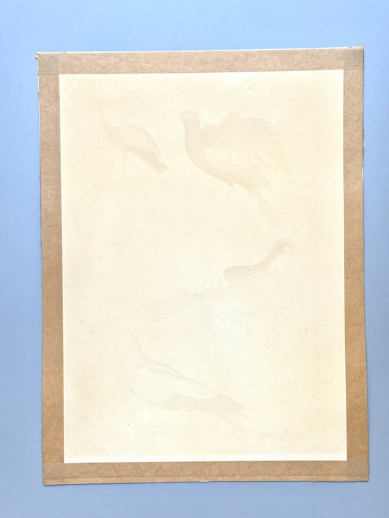 Image 1 of Lithographie ornithologique ancienne, Georges-Louis Leclerc, années 1920, imprimée par Weissenbruch S.A.