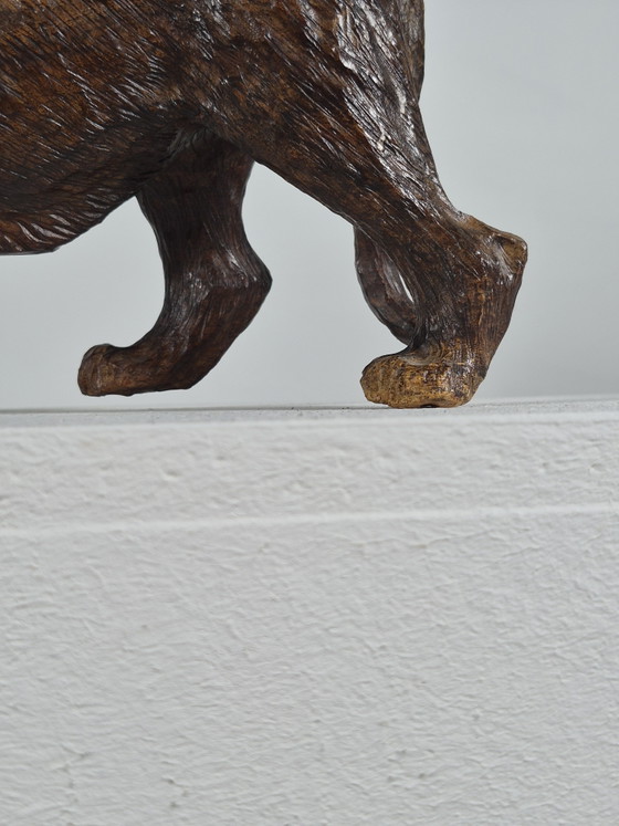 Antieke handgesneden Afrikaanse hardhouten sculptuur, dierenbeeldje: leeuw – Beeldhouwkunst, Wood (photo 9 of 15)