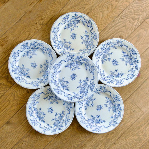 19th century Sarreguemines "Epine" ironstone plates (6AP)