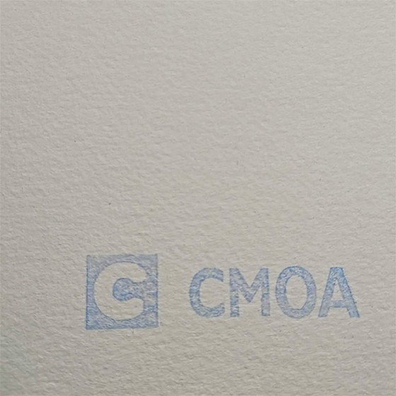Image 1 of Grande litografia di Andy Warhol "Coca Cola", edizione limitata e numerata a matita da CMOA. 60 cm / 23,62 pollici