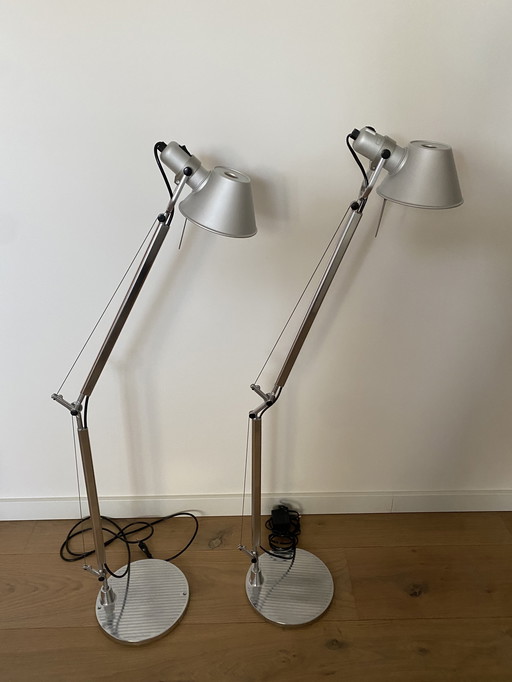 Artemide Tolomeo Floor Lamp - Lamp