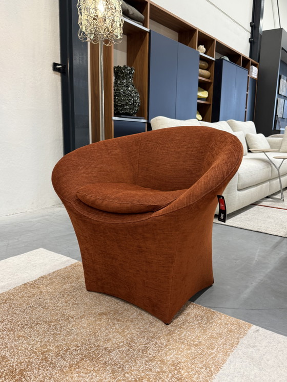 Image 1 of Label van den Berg Fauteuil Ace Terra