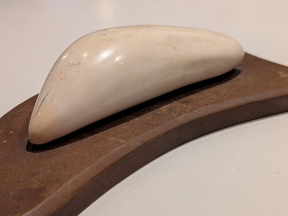 Image 1 of Dent de cachalot ancienne