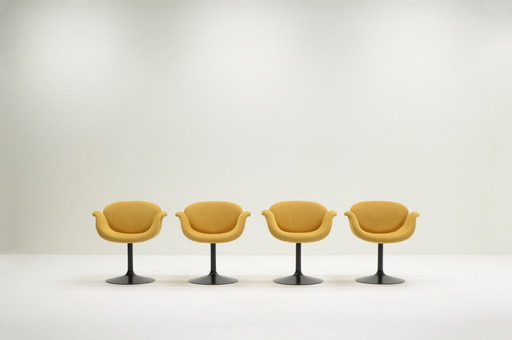 Set of 4 little Tulip chairs by Pierre Paulin for Artifort, 1960s Netherlands.
