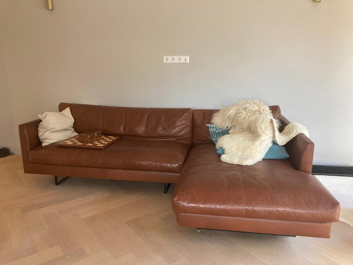 Montis Axel Rancho Castanya