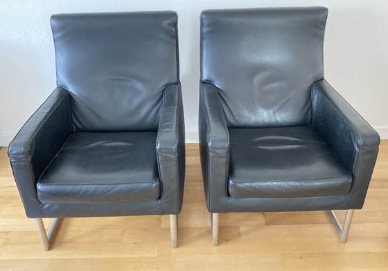 Image 1 of 2x Molinari Mister