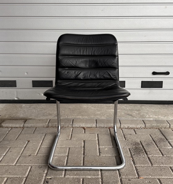 Image 1 of 4 chaises de salle à manger design Pol / Dux International