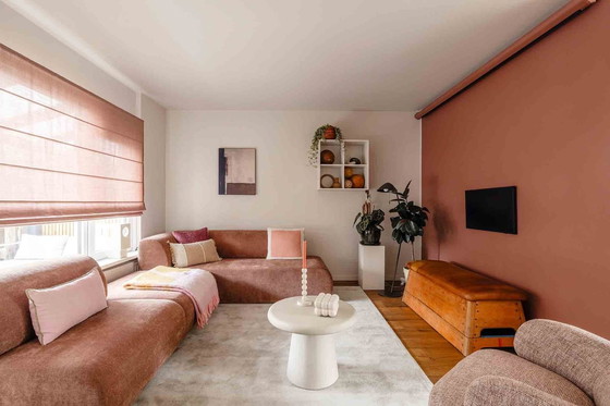 Image 1 of Cushion Solid knitted poster cushion pink from Malagoon