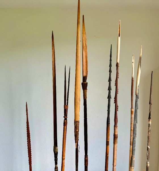 Arc et flèches des tribus Sepik et/ou Asmat de Papouasie-Nouvelle-Guinée – Objets déco, Bamboo (photo 15 of 17)